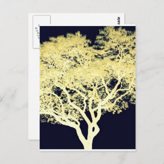 キリモドキの木 ポストカード (正面/裏面)