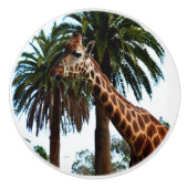 キリンおもしろいは舌を出した。 セラミックノブ (正面)