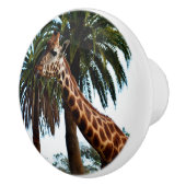 キリンおもしろいは舌を出した。 セラミックノブ (右)