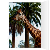 キリンおもしろいラズベリー、誕生日カード (内側 (左))