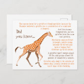 キリンおもしろい事実野生生物 ポストカード (正面/裏面)