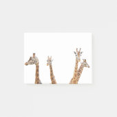 キリンおもしろい写真 – Four Giraffe's Siting ポストイット (正面)