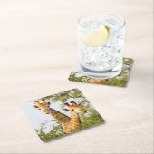 キリンが植物の上を覗く スクエアペーパーコースター (インサイチュ)