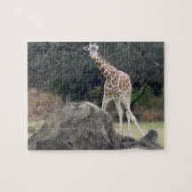 キリンという動物界