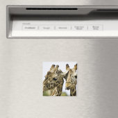 キリンという名前はアラブ語に由来する マグネット (インサイチュ (食洗機))