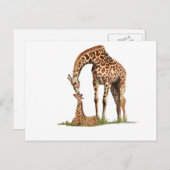 キリンとベビーキスをする牛 ポストカード (正面/裏面)