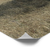 キリンとライオン ポスター (角)