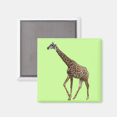 キリンと木，长颈鹿.野生動物園写真 マグネット (正面/裏面)