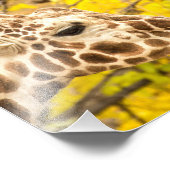 キリンと葉 フォトプリント            (角)