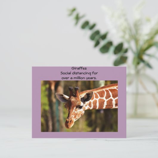 キリンによる社会的距離の確保6フィート - Funnycomb ポストカード (スタンド正面)