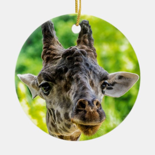 キリンのまつげ セラミックオーナメント (正面)