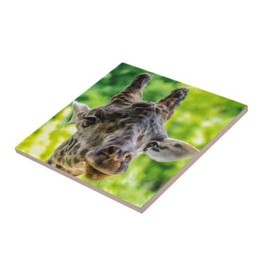 キリンのまつげ タイル (側面)