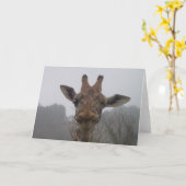 キリンのまばたき カード (黄色い花)