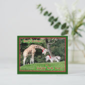 キリンのシマウマのクリスマス シーズンポストカード (スタンド正面)