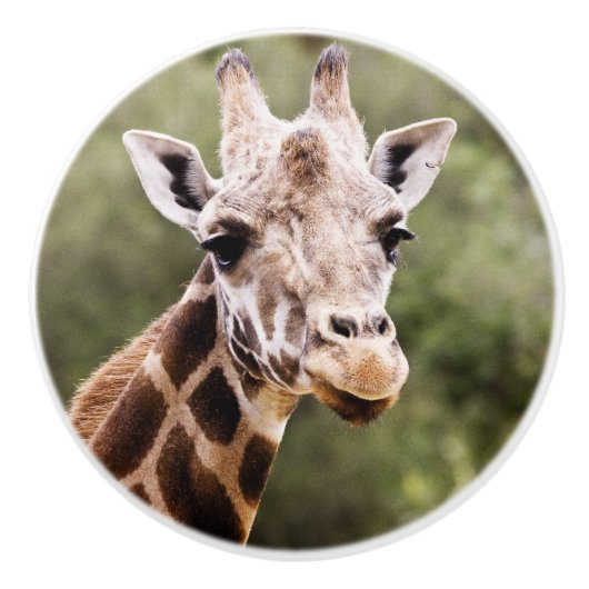 キリンのノブ セラミックノブ (正面)