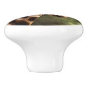 キリンのノブ セラミックノブ (側面)