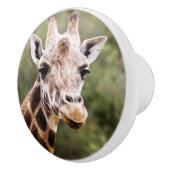 キリンのノブ セラミックノブ (右)