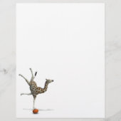 キリンのバランス (正面)