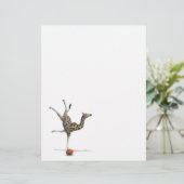 キリンのバランス (スタンド正面)