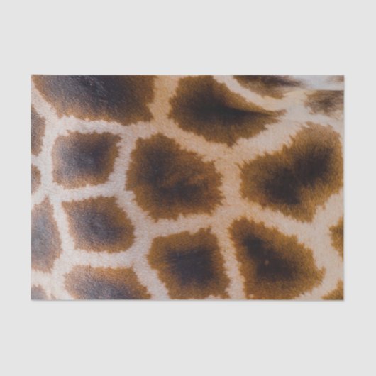 キリンのパッチによって斑点を付けられる皮の質のテンプレート 薄葉紙 (正面)