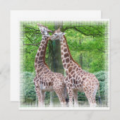 キリンのペア招待状 招待状 (正面/裏面)