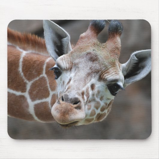 キリンのマウスパッド マウスパッド (正面)