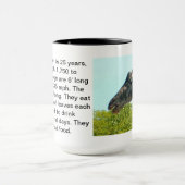 キリンのマグ マグカップ (中央)