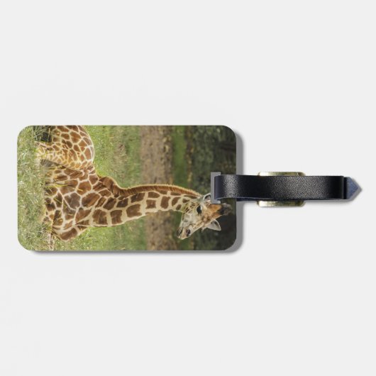 キリンの写真 ラゲッジタグ (裏面横)