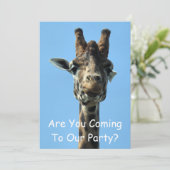 キリンの招待 (スタンド正面)