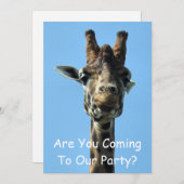 キリンの招待 (正面/裏面)