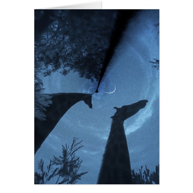 キリンの月 (正面)