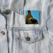 キリンの目 缶バッジ (インサイチュ)