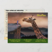 キリンの種は絶滅危惧種に指定されている – シーズンポストカード (正面/裏面)