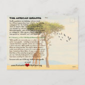 キリンの種は絶滅危惧種に指定されている – シーズンポストカード (裏面)