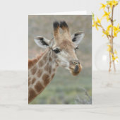 キリンの舌の挨拶状 カード (黄色い花)