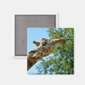 キリンの葉のプロフ食べァイルポートレート マグネット (正面/裏面)