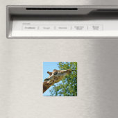 キリンの葉のプロフ食べァイルポートレート マグネット (インサイチュ (食洗機))