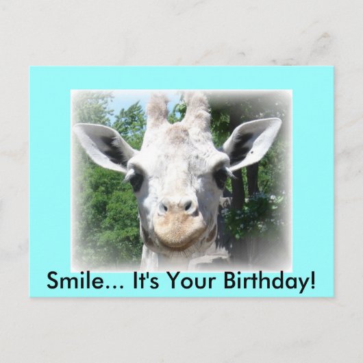 キリンの誕生日ポストカード ポストカード (正面)