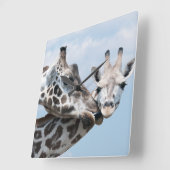 キリンは彼女の子牛に接吻します スクエア壁時計 (傾斜)