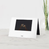 キリンは月明かりの中で愛している。 カード (裏面)