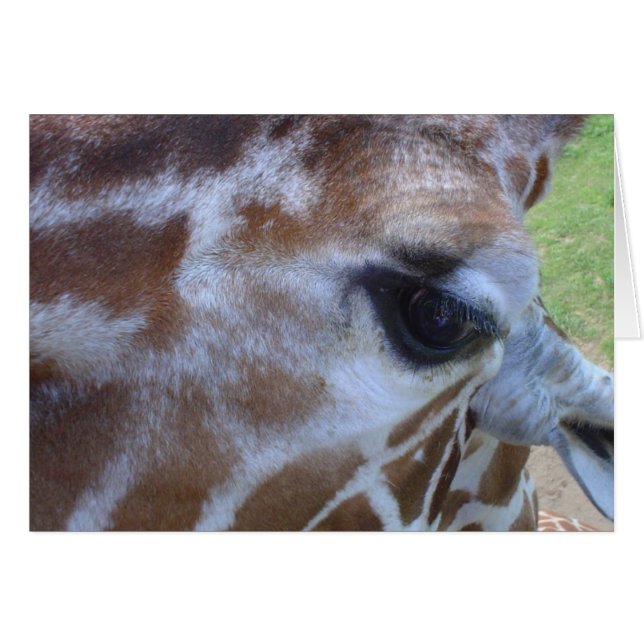 キリンカード! (正面横)