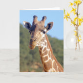 キリンカード カード (黄色い花)