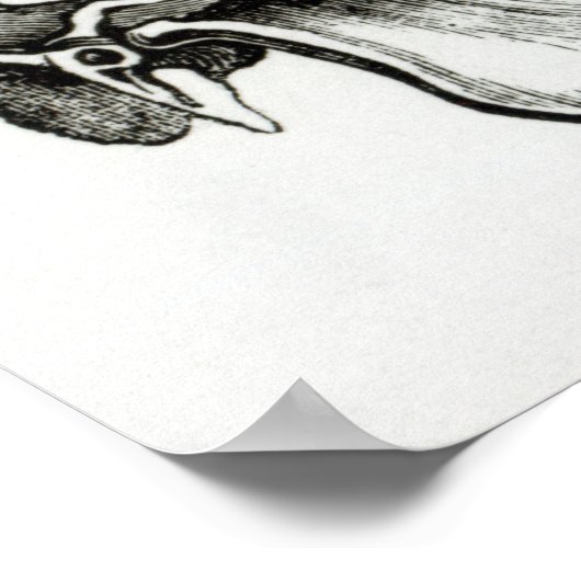 キリンスカル ポスター (角)