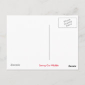 キリンデザイン ポストカード (裏面)