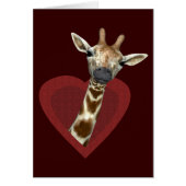 キリンハート (正面)