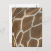 キリンパターン（の模様が）ある葉書 ポストカード (正面/裏面)