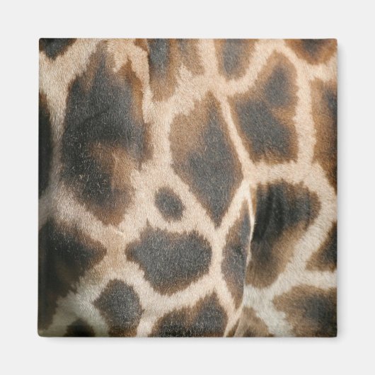 キリンプリント模様磁石 マグネット (正面)