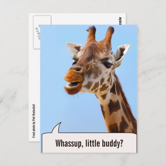 キリンポートレートカスタム文字はがき ポストカード (正面/裏面)