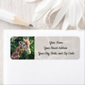 キリン住所 シール (インサイチュ)