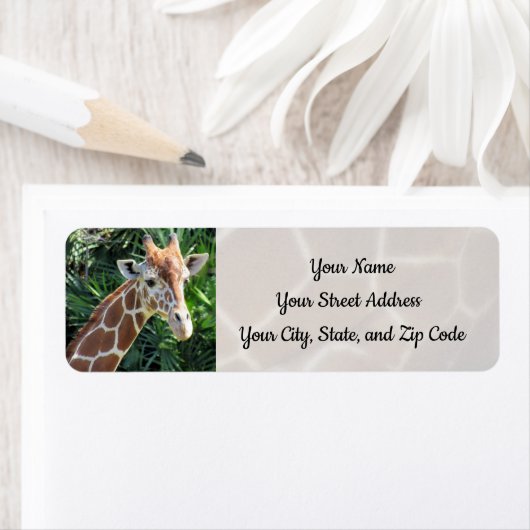 キリン住所 シール (インサイチュ)